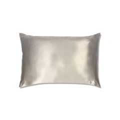 Slipsilk Pillowcase Standard Queen Silver